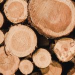 Tartak – Źródło Doskonałego Drewna: Buduj Z Zapałem i Wytrzymałością.